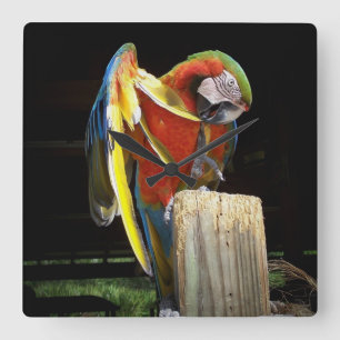 Reloj Cuadrado loro
