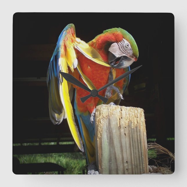Reloj Cuadrado loro (Anverso)