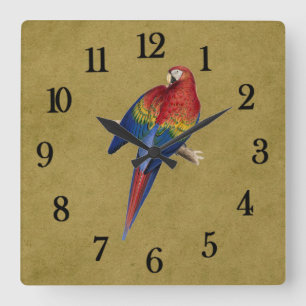 Reloj Cuadrado Loro tropical