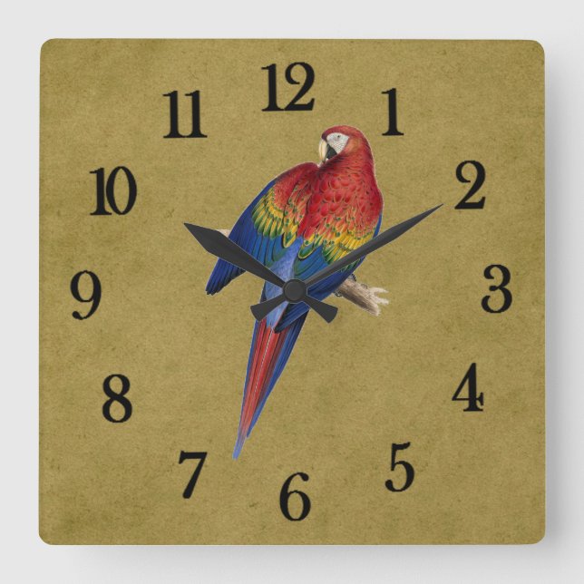 Reloj Cuadrado Loro tropical (Anverso)