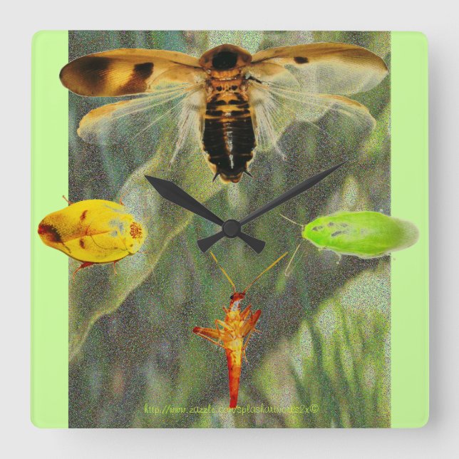 Reloj Cuadrado ¡"Los entusiastas de la cucaracha de la cucaracha (Anverso)