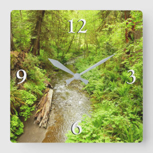 Reloj Cuadrado Lost Man Creek II en el Parque Nacional Redwood