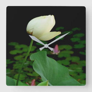 Reloj Cuadrado Lotus Water Lily Bud