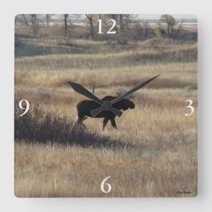 Reloj Cuadrado M5 Toro Moose y Sand Hills