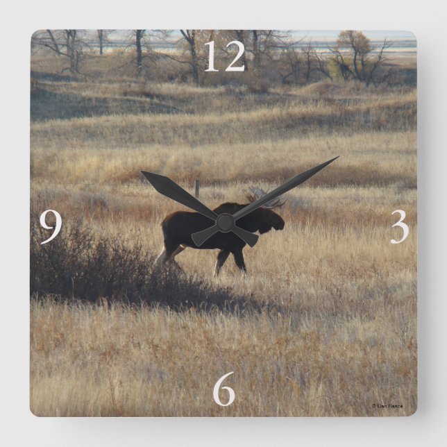 Reloj Cuadrado M5 Toro Moose y Sand Hills (Anverso)