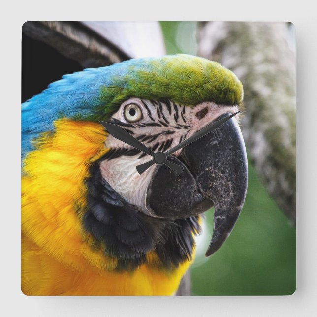 Reloj Cuadrado Macao azul y amarillo (Anverso)