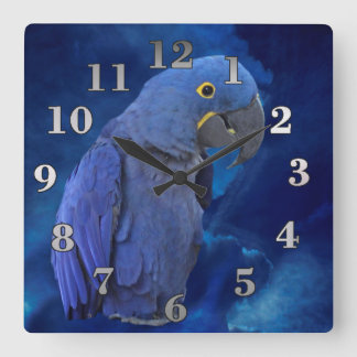 Reloj Cuadrado Macaw del jacinto