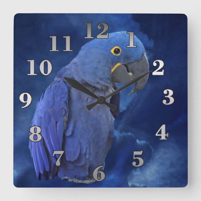 Reloj Cuadrado Macaw del jacinto (Anverso)