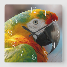 Reloj Cuadrado Macaw Parrot