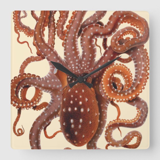 Reloj Cuadrado Macropus de pulpo ventilado, animales acuáticos ma (Anverso)