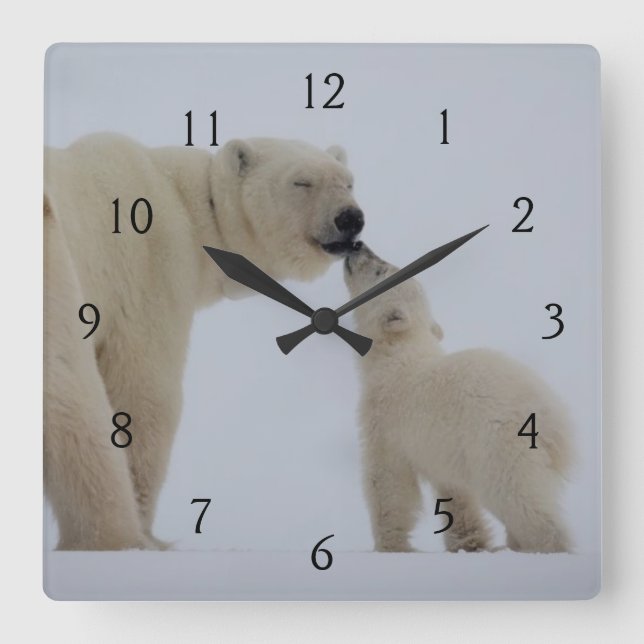 Reloj Cuadrado Madre del oso polar con Cub (Anverso)
