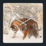 Reloj Cuadrado Madre madre tigre con bebé en la nieve<br><div class="desc">Bosque de Otoño- Esta serena imagen de paisaje de hojas de otoño te dará una sonrisa en la cara. Otoño,  bosques,  bosques,  bosques,  árboles,  caídas,  fundas,  paisajes,  naturaleza.</div>