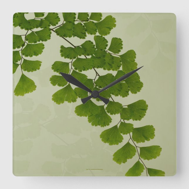 Reloj Cuadrado Maiden Hair Fern Frond (Anverso)