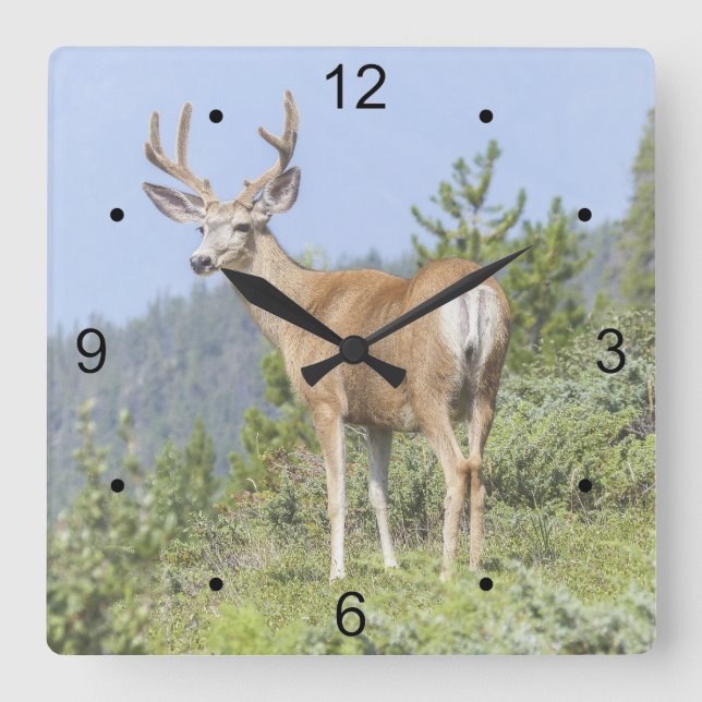 Reloj Cuadrado Majestic Deer (Anverso)