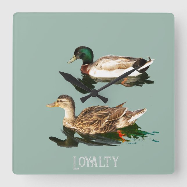 Reloj Cuadrado Mallas de los Ducks (Anverso)