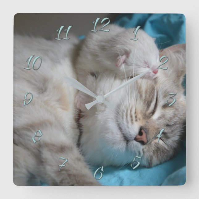 Reloj Cuadrado Mamá e hijos gatitos (Anverso)