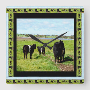 Reloj Cuadrado Mamá Y Vacas Galloway Infantiles Enmarcadas,