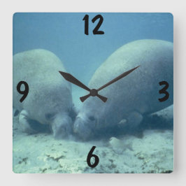 Reloj Cuadrado Manatee Wall Clock