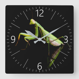 Reloj Cuadrado Mantis rezando