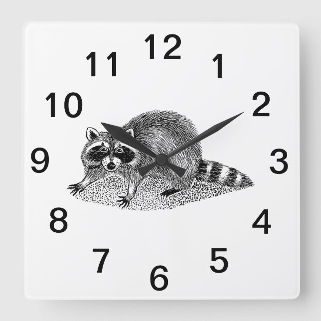 Reloj Cuadrado Mapache Enmascarado Antiguo (Anverso)