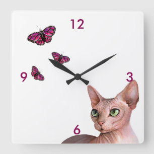 Reloj Cuadrado Mariposa del rosa del gato de la esfinge de Sphynx