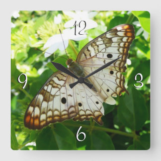 Reloj Cuadrado Mariposa en la fotografía de la naturaleza tropica