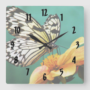 Reloj Cuadrado Mariposa Monarca Y Flor Naranja