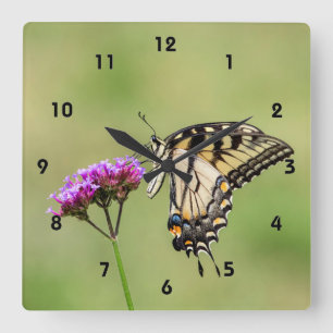 Reloj Cuadrado Mariposa Swallowtail del Tigre del Este