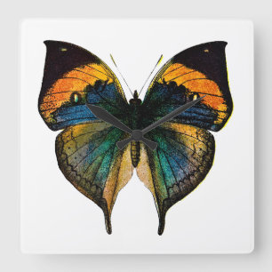 Reloj Cuadrado Mariposa vintage - Butterfies antiguos del siglo X