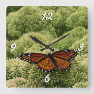 Reloj Cuadrado Mariposa Virrey Fotografía De Naturaleza Hermosa
