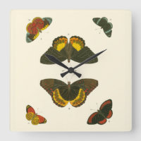 Mariposas brillantes de Pieter Cramer