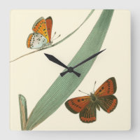 Mariposas coloridas que agitan alrededor de una