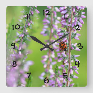 Reloj Cuadrado Mariquita sobre flores púrpuras