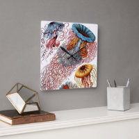 Marisma de época por Ernst Haeckel, Discomedusae