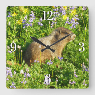 Reloj Cuadrado Marmota en flores silvestres del Monte Rainier