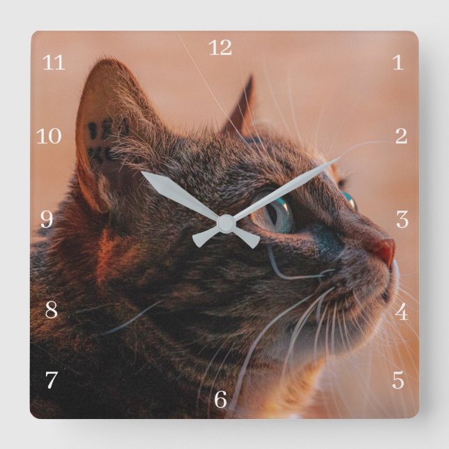 Reloj Cuadrado Mascota Cat (Anverso)