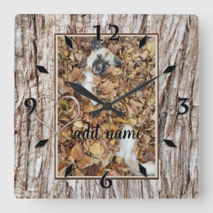 Reloj Cuadrado mascota de colección de fotografías modernas, dive