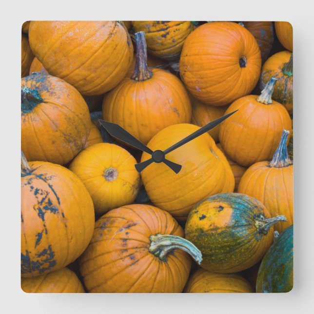 Reloj Cuadrado Massachusetts, Salisbury, pumpkins, autumn (Anverso)