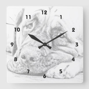 Reloj Cuadrado Mastín perezoso