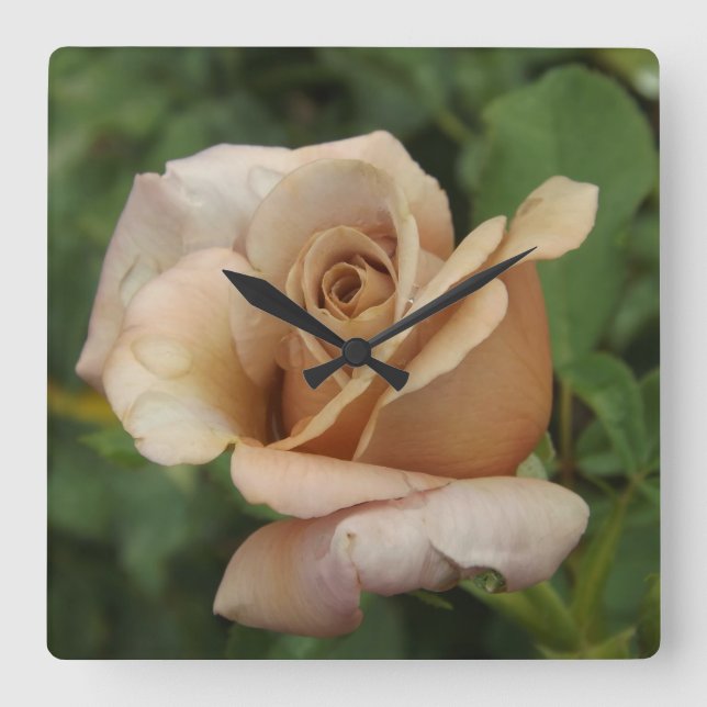 Reloj Cuadrado Mauve Rosa (Anverso)