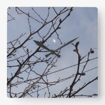 Media luna a la luz del día