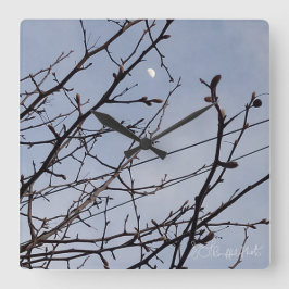 Reloj Cuadrado Media Luna en la luz del día