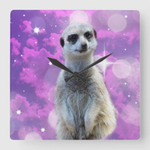Reloj Cuadrado Meerkat Rosado Con Espuma,