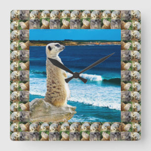 Reloj Cuadrado Meerkat Sentry Vigilando El Pescado En La Playa,