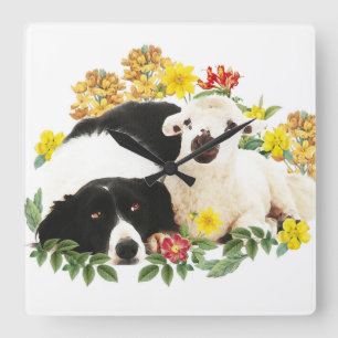 Reloj Cuadrado Mejores amigos - Collie fronterizo y cordero peque