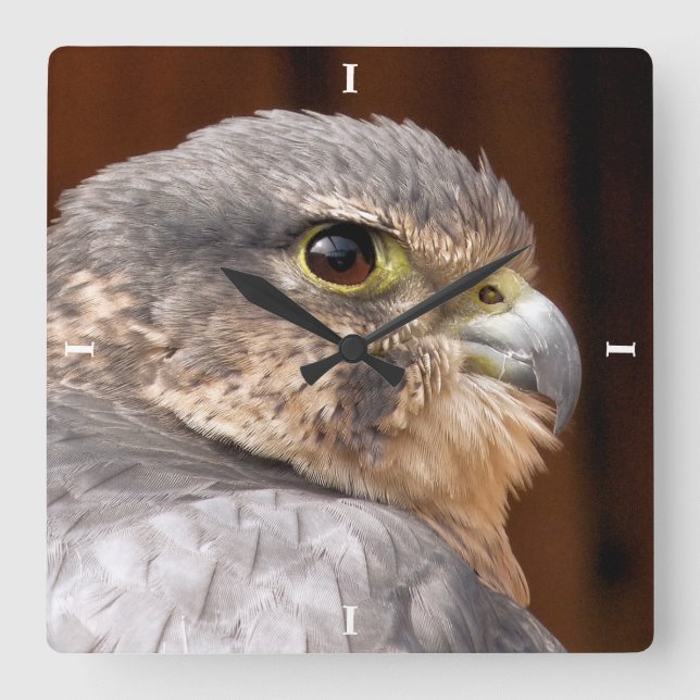RELOJ CUADRADO MERLIN FALCON BIRD DE PRESA (Anverso)