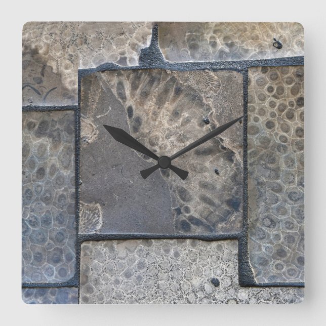 Reloj Cuadrado Michigan Petoskey Stone (Anverso)
