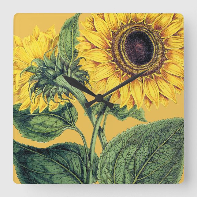 Reloj Cuadrado Miller: Sunflower (Anverso)