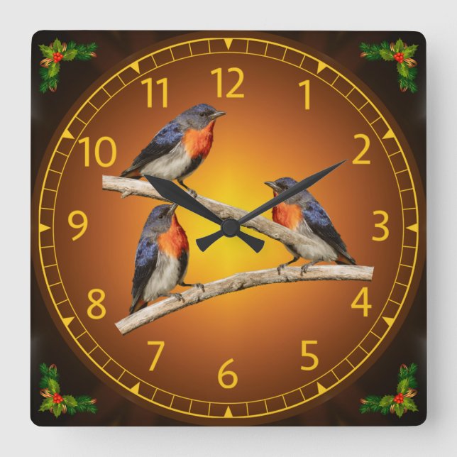 Reloj Cuadrado Mistletoebird, Flowerpecker, Australia, Indonesia (Anverso)