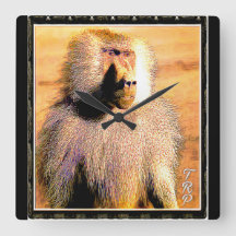 Modelos primarios: Hamadryas baboon 01
